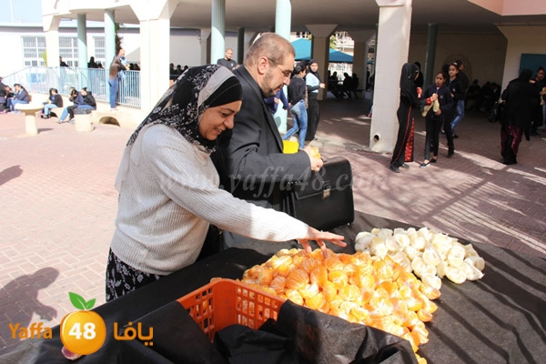 shamela sandouq (3).JPG